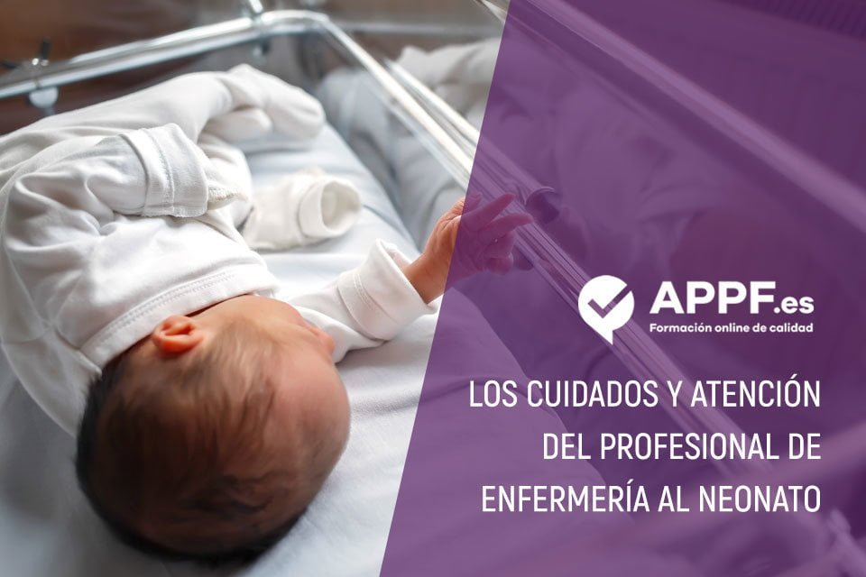Cuidados y atención de enfermería al neonato | Oposiciones sanidad de APPF